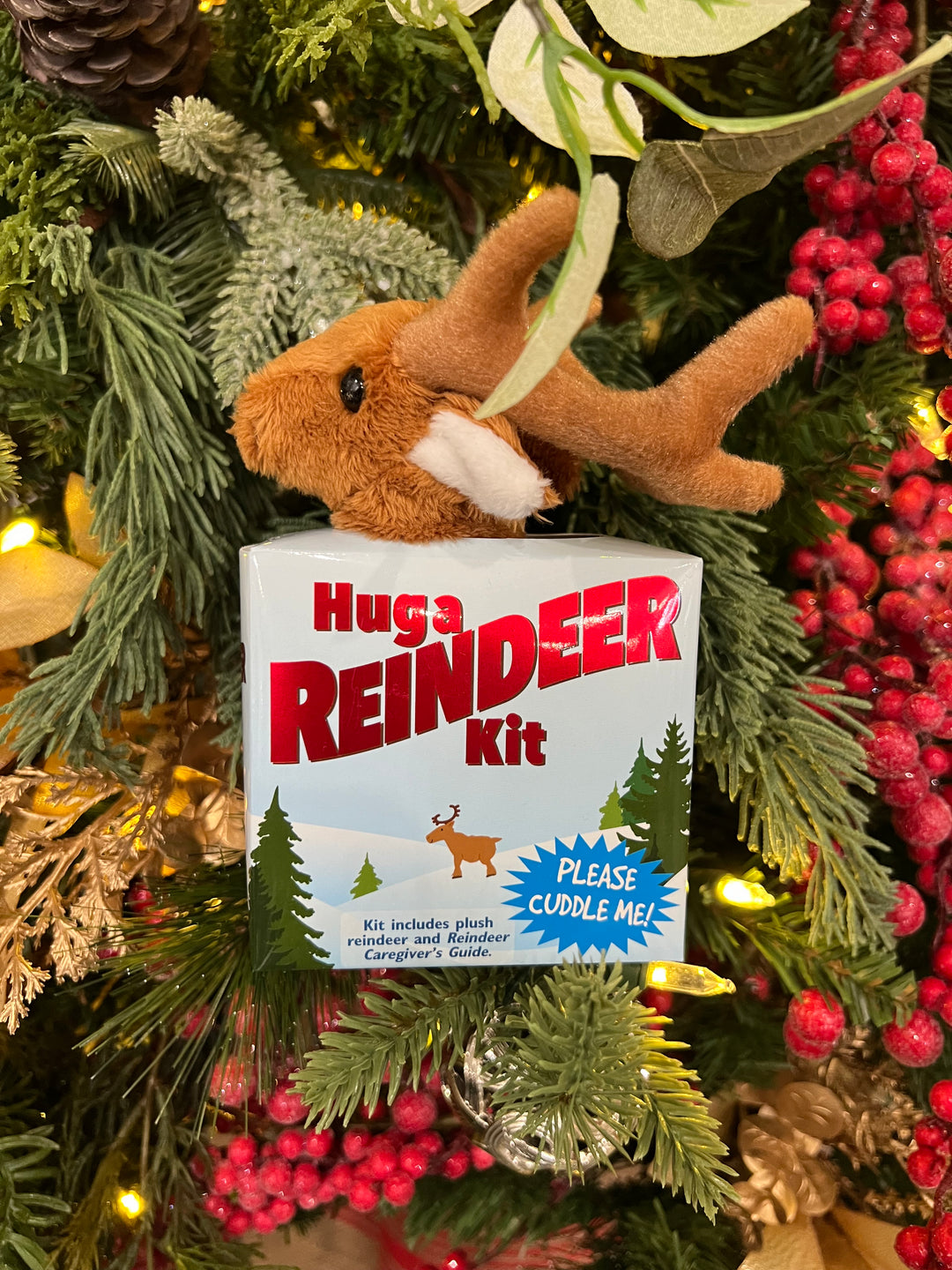 Hug a Reindeer Kit