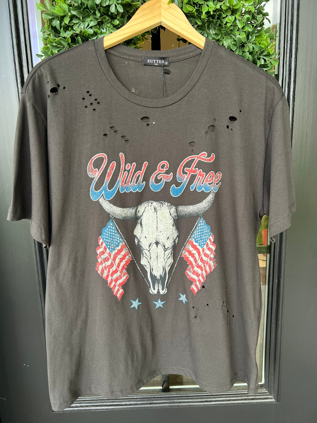 Wild Free Longhorn