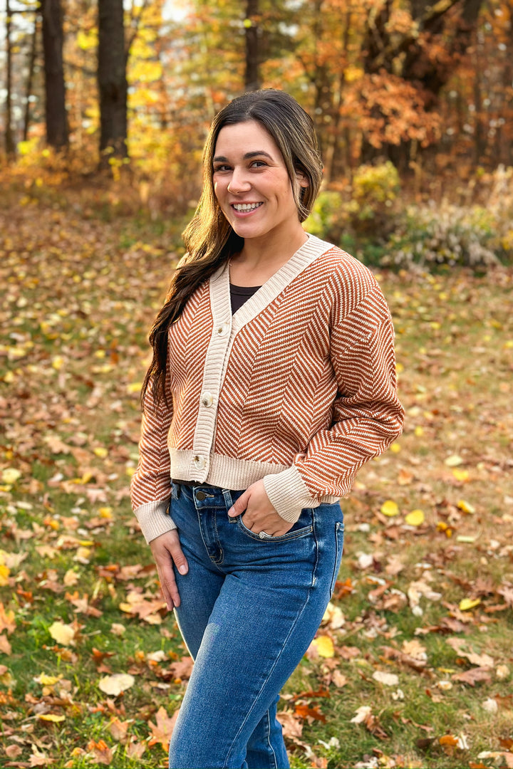 Rust Chevron Button Sweater