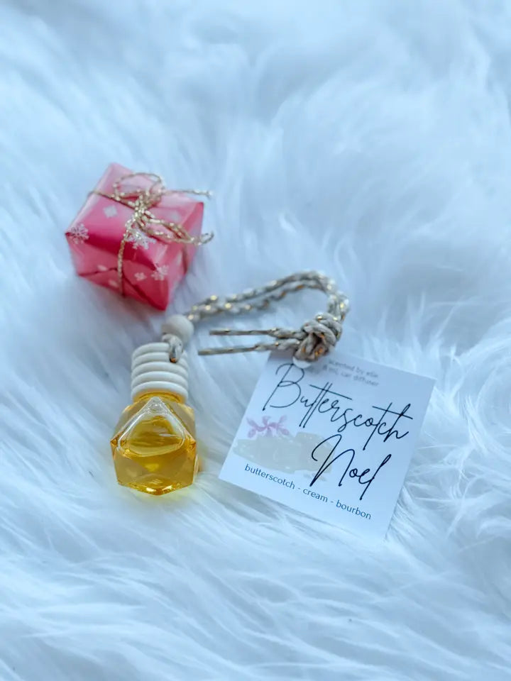 Christmas Diffuser's