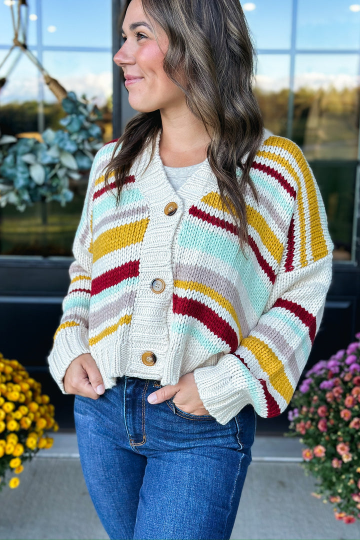 Multi Stripe Colored Cardigan