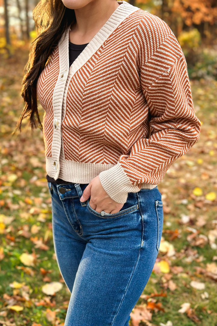 Rust Chevron Button Sweater