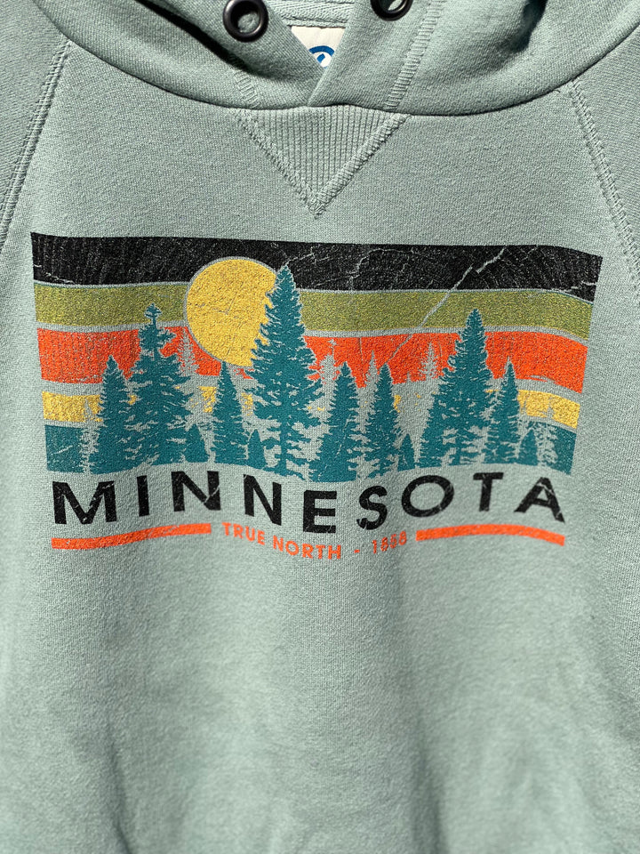 Grey Kids Minnesota sweatshirt